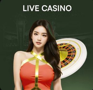 金刚app官方下载